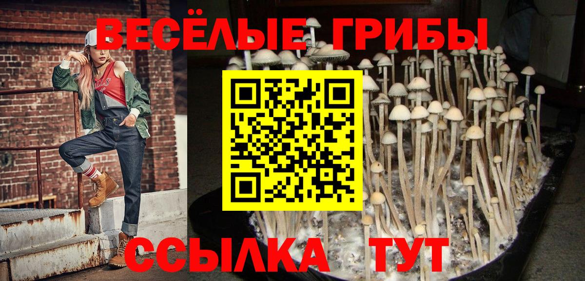 Галлюциногенные грибы мухоморы  Псилоцибиновые грибы Magic Shrooms  Люберцы  Вход с VPN 